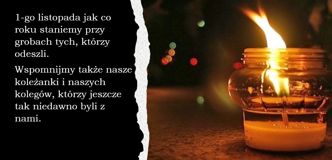 Wstąp do ZNP PŁ